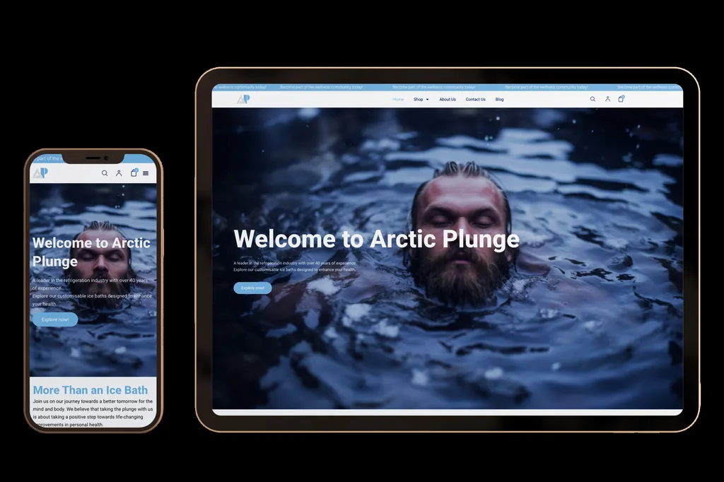 arcticplunge.au website design project